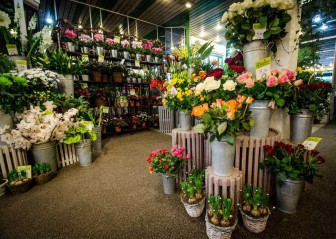 Donzier Fleurs, Fleuriste en Haute-Savoie