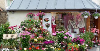Auvers Fleurs, Fleuriste dans le Val-d'Oise