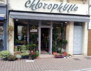 Chlorophylle Fleuriste, Fleuriste dans la Meuse