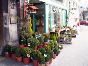 FLEURS BLANC, Fleuriste dans le Territoire de Belfort