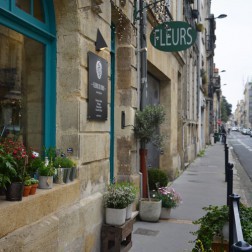 FLEURS DE MARS, Fleuriste en Gironde