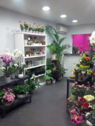 La Bouquetterie, Fleuriste en Seine-et-Marne