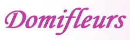 DomiFleurs, Fleuriste dans les Ardennes