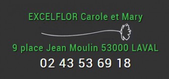 Excelflor : Artisan Fleuriste, Fleuriste en Mayenne