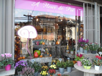 A Fleur de Pot, Fleuriste dans les Deux-Sèvres