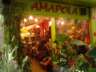 AMAPOLA - FLEURISTE, Fleuriste à Paris