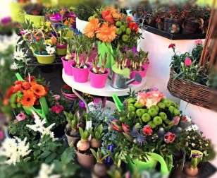 L'Etang Fleuri, Fleuriste dans l'Ain