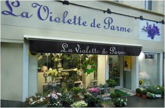 La Violette de Parme, Fleuriste dans l'Aisne