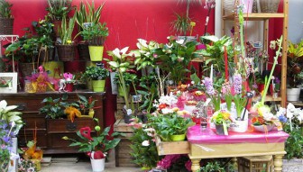 Fleurs de la Bourse, Fleuriste dans le Bas-Rhin
