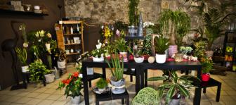 CHLOROPHYLLE, Fleuriste en Ariège